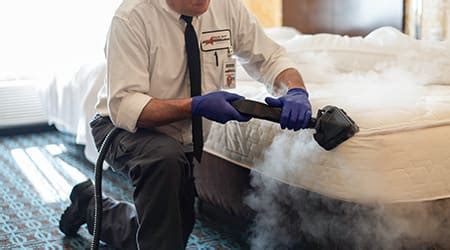 treatment for bed bugs bloomingdale